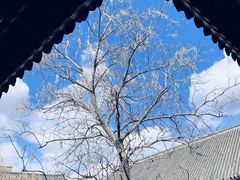 -张学良旧居陈列馆