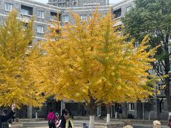 -辽宁大学(崇山校区)