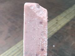 -滚雪球小奶糕