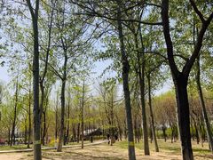 -大兴滨河森林公园