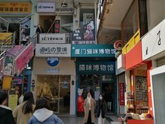 -猫咪博物馆(顶澳仔猫街店)