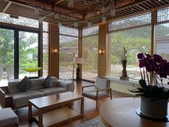 -树山生态村