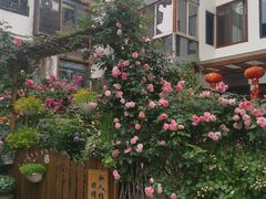 -红烧鱼头·杭帮菜·特色烧烤