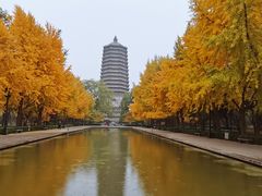 -玲珑塔公园