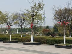 -汇泉广场