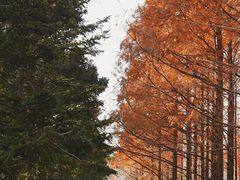 -国家植物园南园