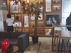 -天真蓝照相馆(五角场百联又一城店)