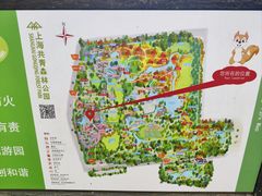 -上海共青森林公园