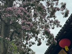 -虞山风景区