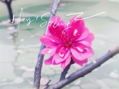 -文华公园(禅城区)