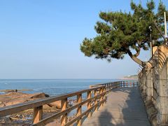 -青岛海景花园大酒店