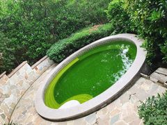 -天目湖涵田半山温泉