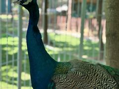 -遇见世外桃源教育农场