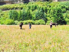 -芦芽山旅游度假区