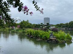 -月湖公园