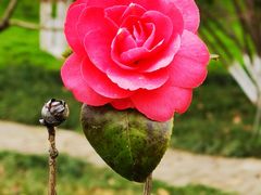 -玄武湖景区-情侣园游乐场