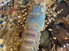 -顺德了能馆(虎门店)