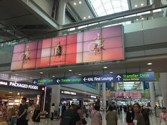 -乐天免税店(仁川国际机场店)