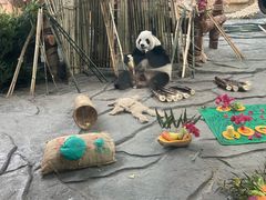 -泉州海丝野生动物世界