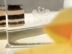 -BLACKSWAN黑天鹅(新希望店)