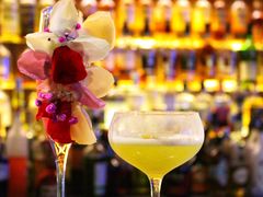 -STARRY CAFE & LOUNGE BAR(高新店)