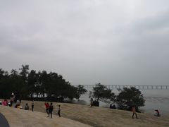 -宝安西湾红树林湿地公园