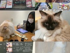 -J Create城市露营咖啡·简餐·宠物(上海动物园店)