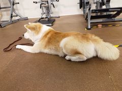 -YCHL Studios健身工作室(市二宫店)