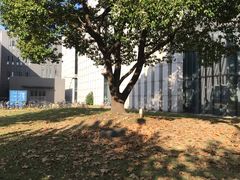 -同济大学(嘉定校区)