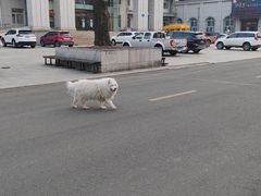 -悦荟牛排餐厅(萨尔图万达店)