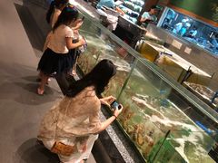 -Isla Sugbu Seafood City