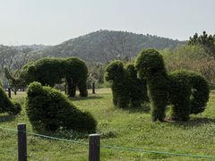 -苏州上方山国家森林公园