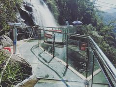 -九龙江国家森林公园