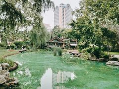 -静安公园(静安寺街道)