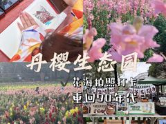 -丹樱生态园