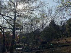 -兴福老面馆(寺路街店)