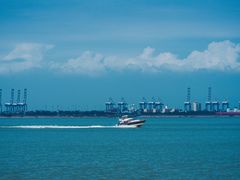 -大湾区中央湿地公园