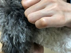 -谐和贝康宠物医院24小时·宠保定点(急重症转诊中心)