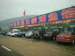 -庆岭迎宾园正宗活鱼馆