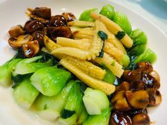 -席家花园(巨鹿花园店)