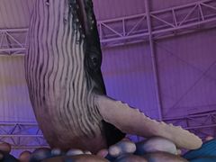 -烟台海昌鲸鲨海洋公园