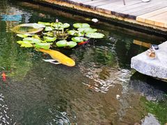 -大门水乡·顺德菜