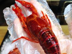 旺小胖招牌冰镇龙虾-旺小胖小龙虾