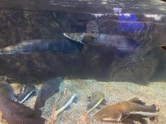 -太平洋海底世界