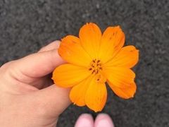 -青龙山国家森林公园