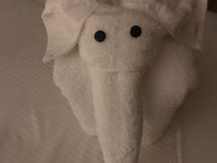 -天津君隆威斯汀酒店