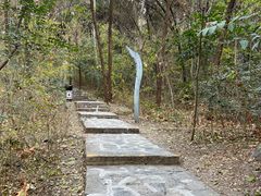 -云龙山