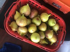 -武汉世外桃源农庄