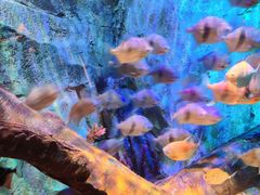 -沈阳海洋探索中心