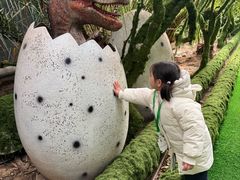 -呀路古热带植物园